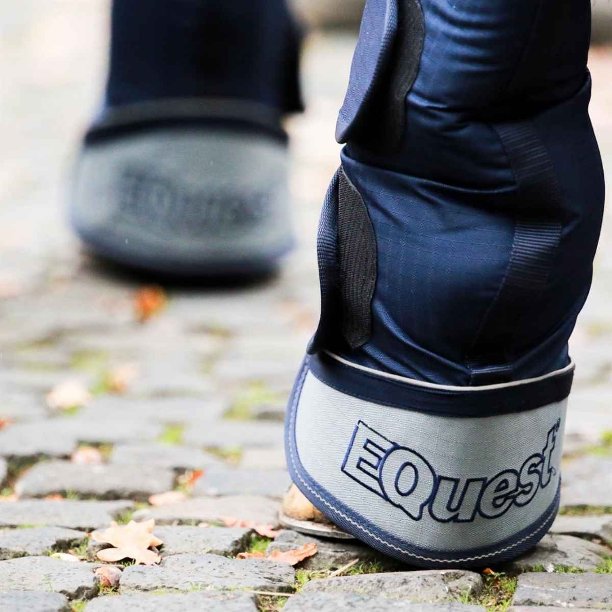 EQuest Transportgamasche, 4er Set