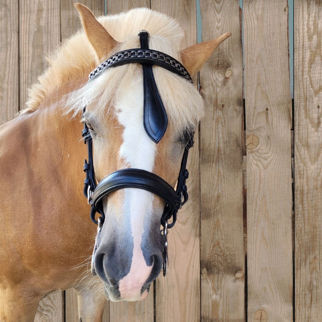 Fahrzaum_Haflinger