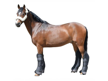 EQuest Transportgamasche, 4er Set