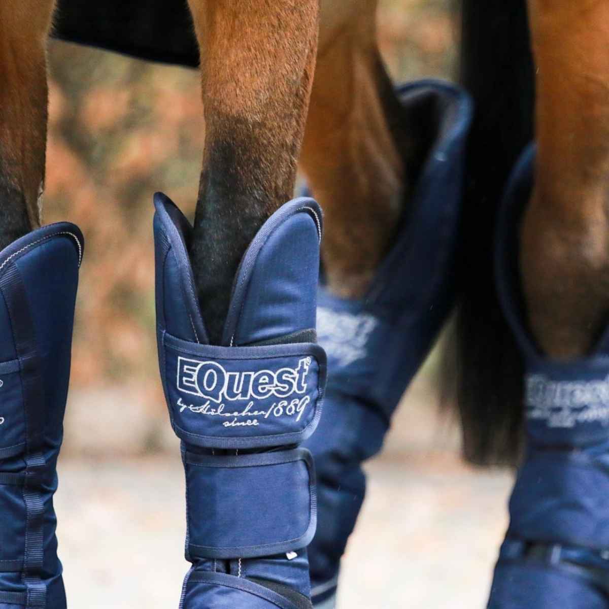 EQuest Transportgamasche, 4er Set