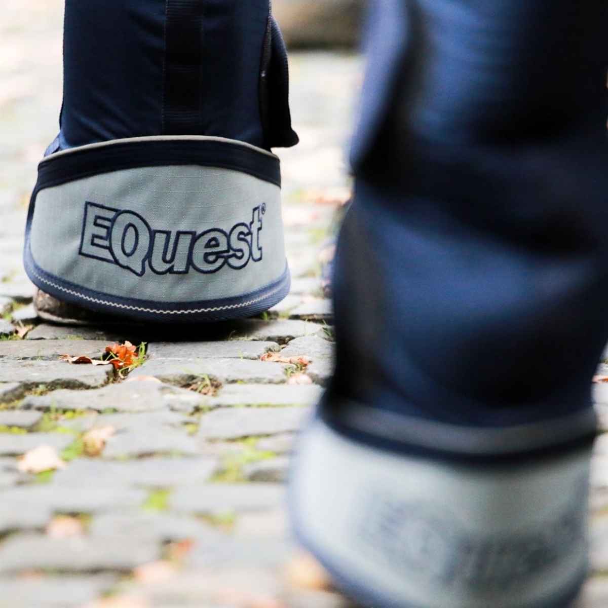 EQuest Transportgamasche, 4er Set