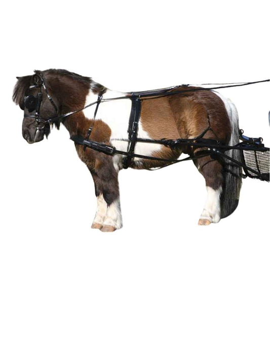 ZILCO Pferdegeschirr Brustblatt Einspänner SL SHETLAND