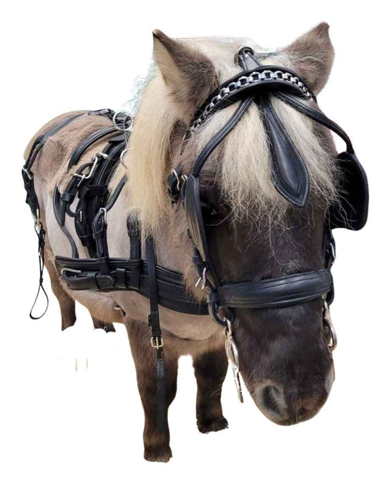 WEISSL Mini Shetty Geschirr Brustblatt Einspänner CLASSIC