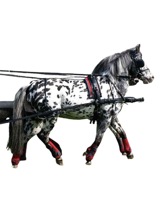 ZILCO Pferdegeschirr Brustblatt Zweispänner SL SHETLAND