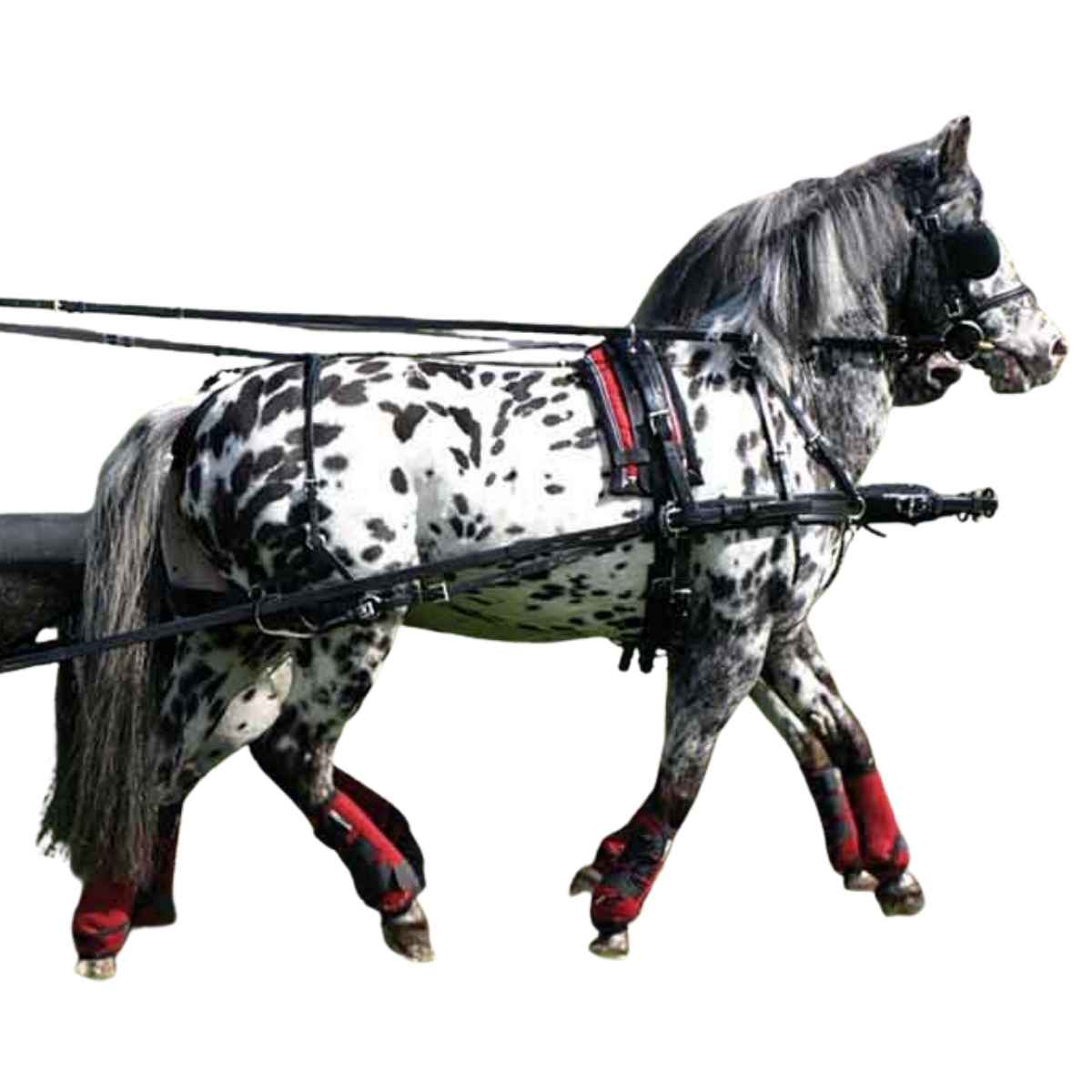 ZILCO Pferdegeschirr Brustblatt Zweispänner SL SHETLAND