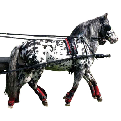 ZILCO Pferdegeschirr Brustblatt Zweispänner SL SHETLAND