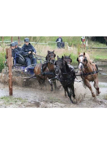 ZILCO Pferdegeschirr Brustblatt Vierspänner SL SHETLAND