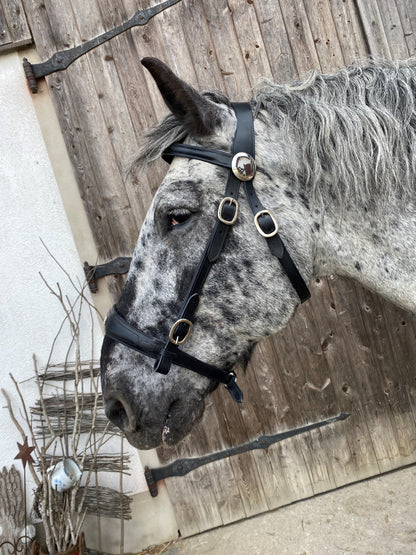 WEISSL Prunkhalfter / Trachtenhalfter